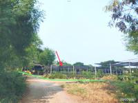 https://ratchaburi.ohoproperty.com/205049/ธนาคารกสิกรไทย/ขายที่ดินว่างเปล่า/เอกราช/ป่าโมก/อ่างทอง/