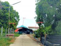https://ratchaburi.ohoproperty.com/211177/ธนาคารกสิกรไทย/ขายบ้านเดี่ยว/ศาลาแดง/เมืองอ่างทอง/อ่างทอง/